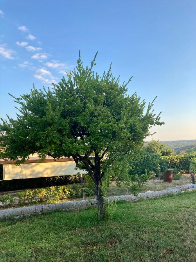 Villa Mara B&B Noto Zewnętrze zdjęcie