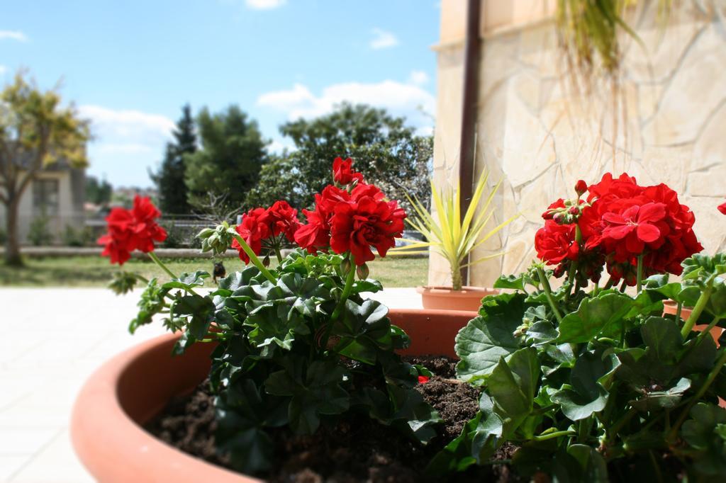 Villa Mara B&B Noto Zewnętrze zdjęcie
