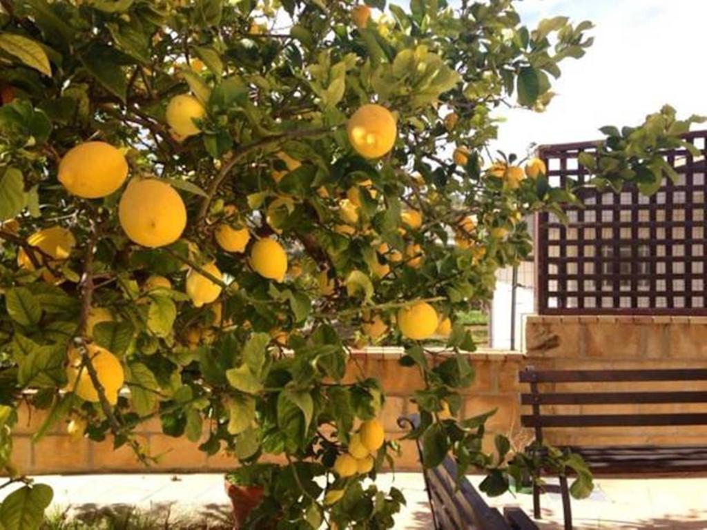 Villa Mara B&B Noto Zewnętrze zdjęcie